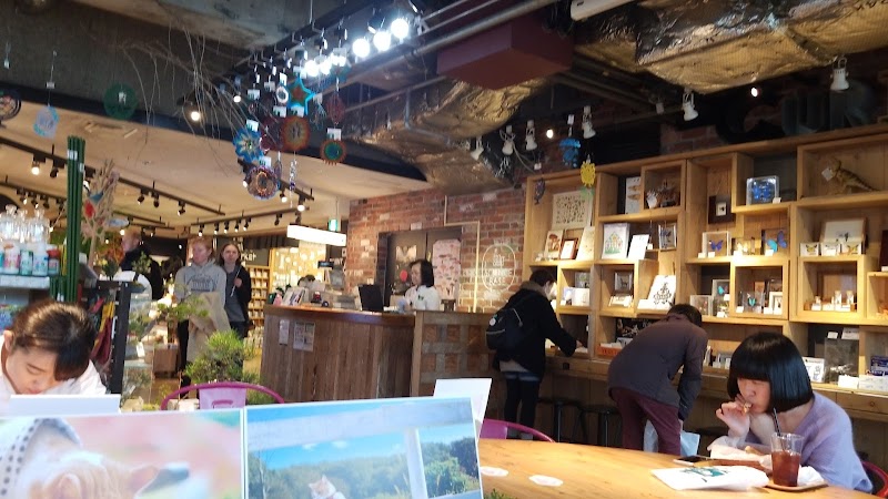 Paint Protection Film Work