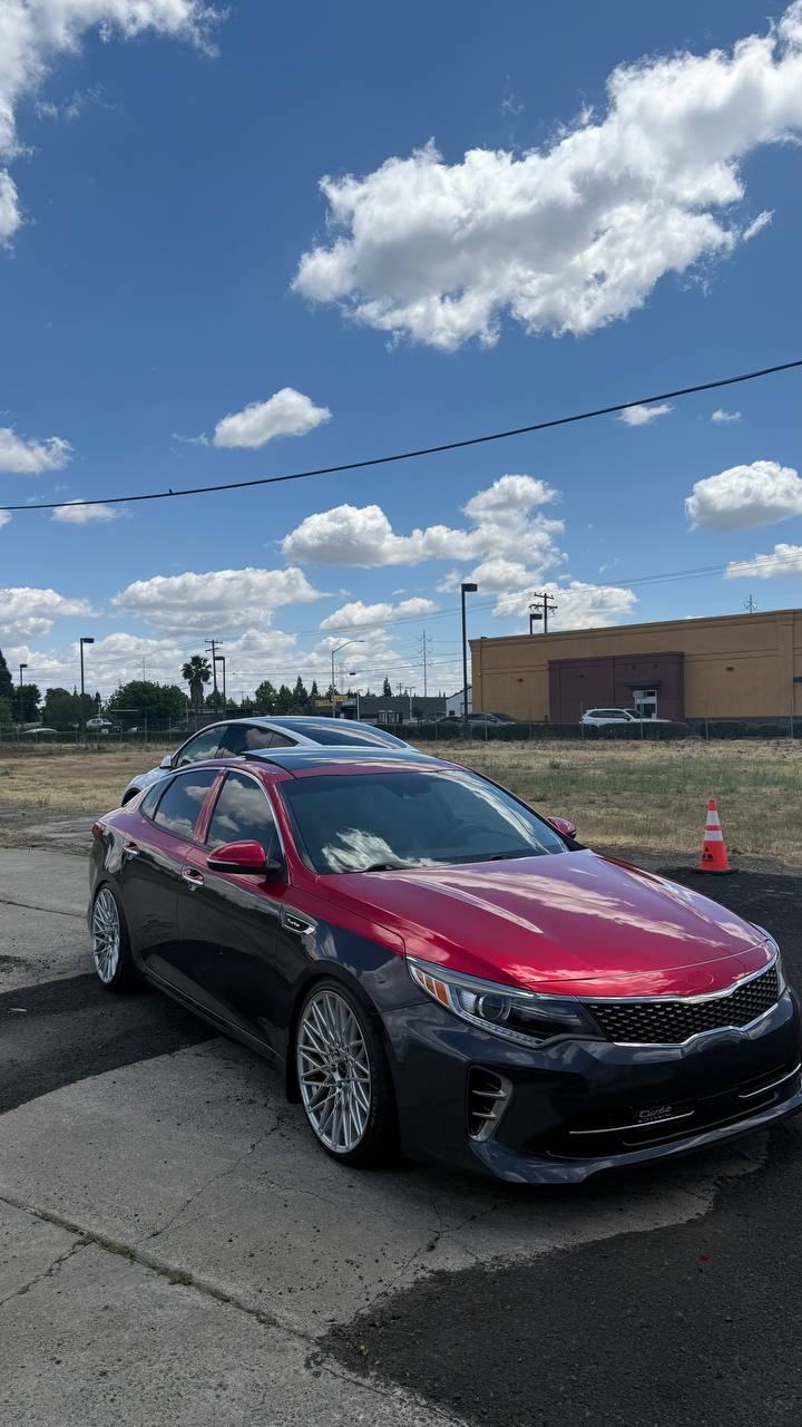 Exotics Tints & Wraps | Vehicle Wrap