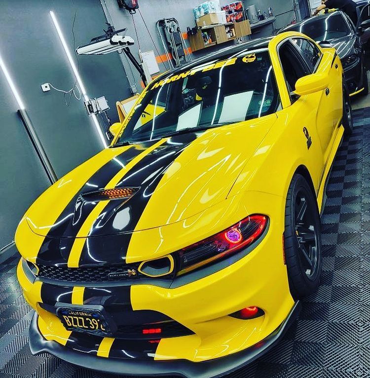 Pro Auto Design | Vehicle Wrap