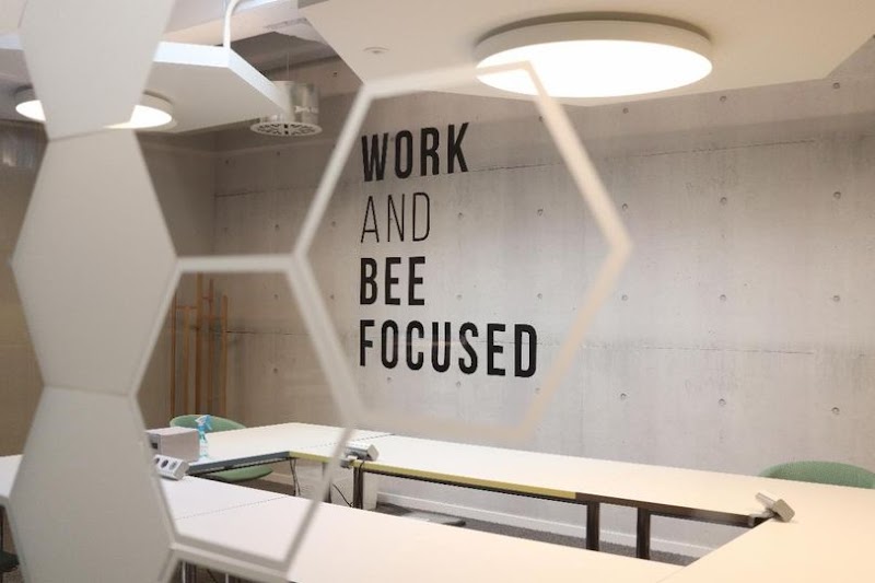 Paint Protection Film Work