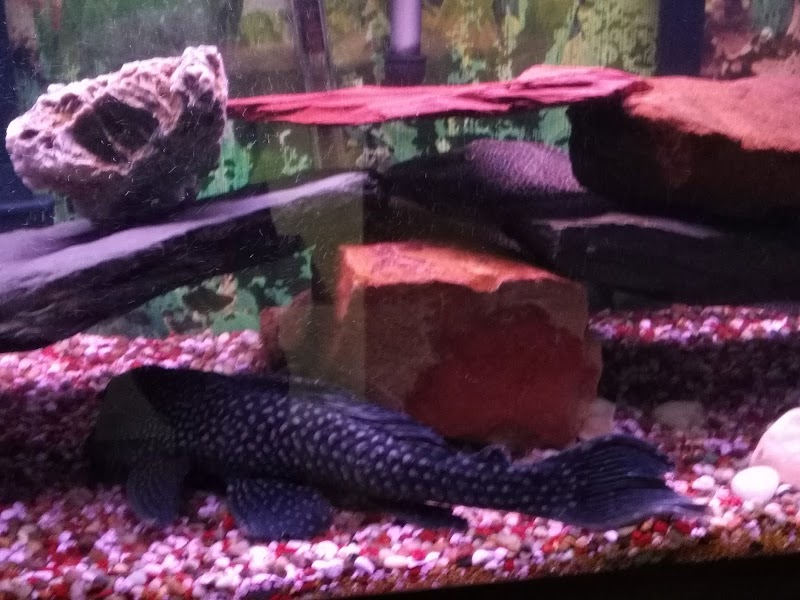 Vehicle wrap by Truck Graphics