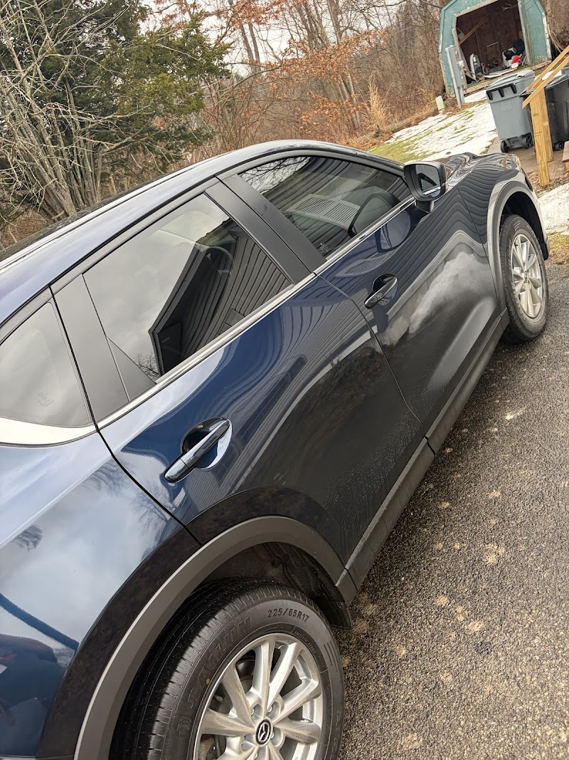 Tint World | Vehicle Wrap